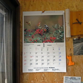 Calendar20081350