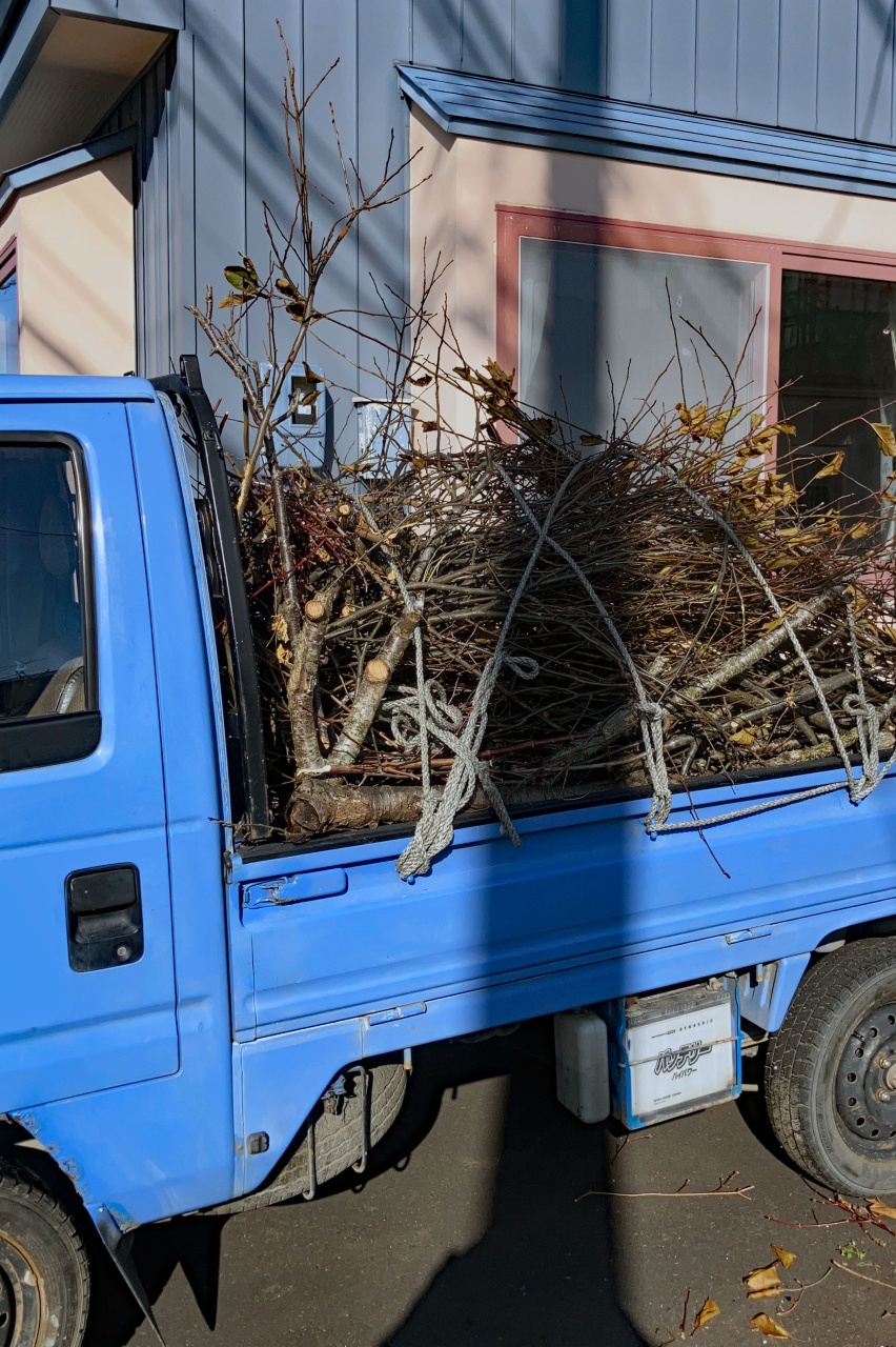 庭の木を伐採