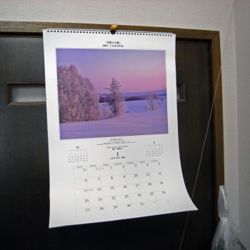 Calendar20085350