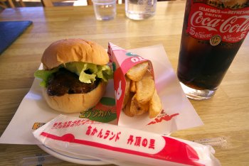 Ezoshikaburger350
