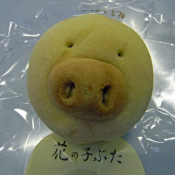 Hananokobuta071111350