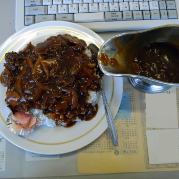 Hashedbeefwithrice071104350