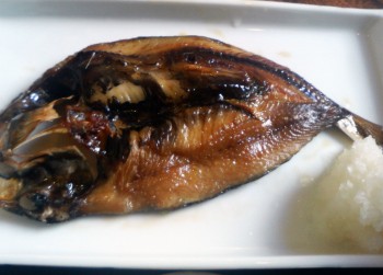 Iwashi0711182350