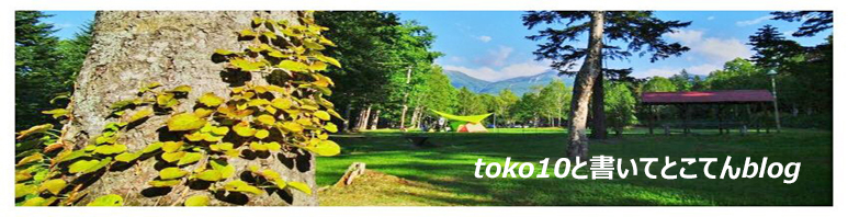 toko10と書いてとこてんblog