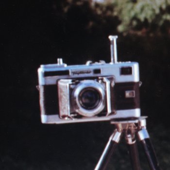 Vitessa350